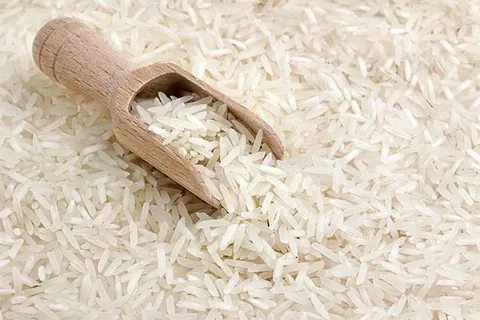 تصویر 1 از خرید برنج عنبر بو زرد + قیمت فروش استثنایی